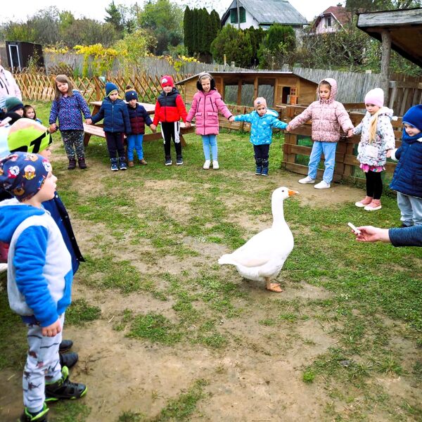 Márton napi dalolás