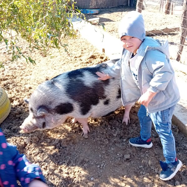 Főni malacunk szeret játszani velünk