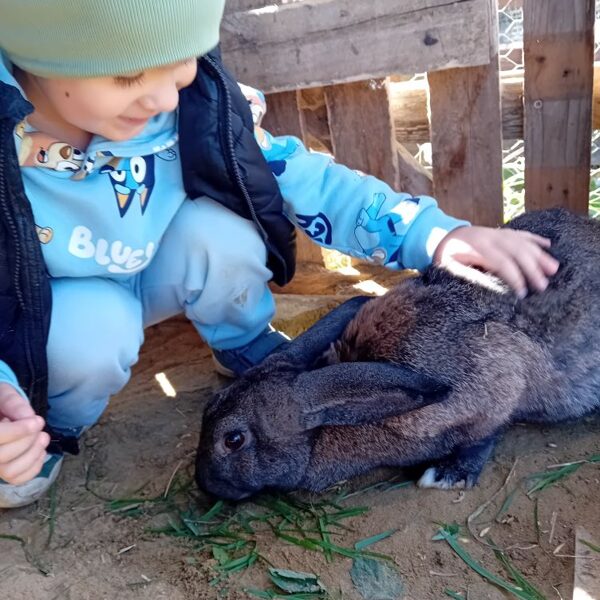 Kedves nyuszi, puha, selymes