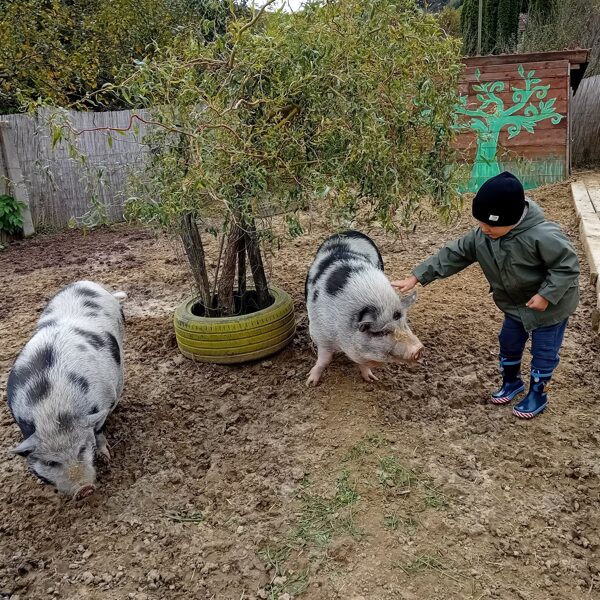 Monti és Főni mindig éhes