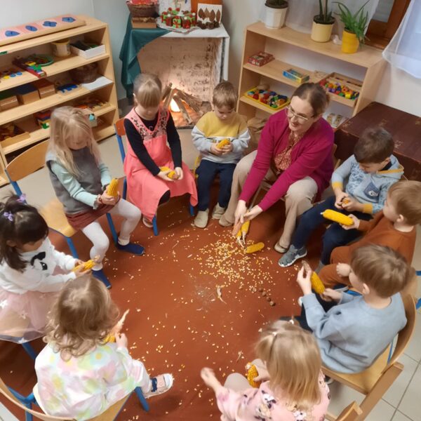 Kukoricát morzsoltunk