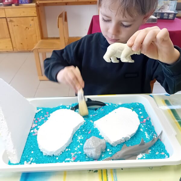 Sarkvidék - terepasztal