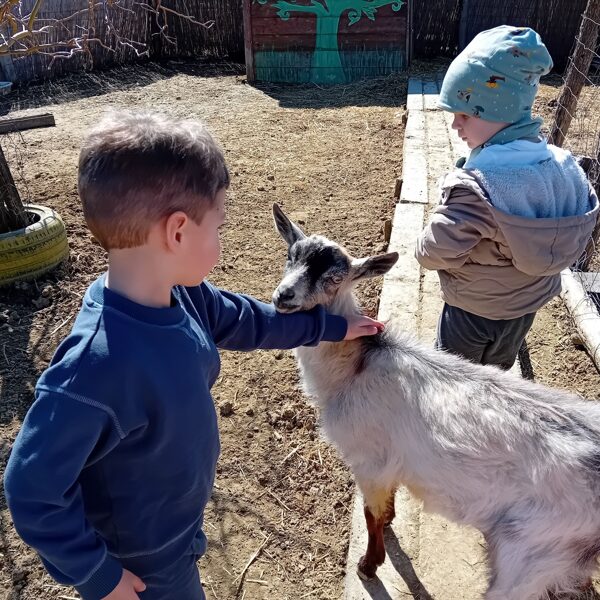 Kedves, játékos, kiváncsi