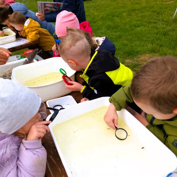 Vízvizsgálat a kis tavunk partján