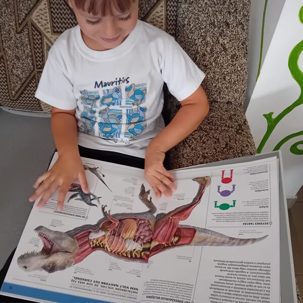 Ilyen a dínó belülről?