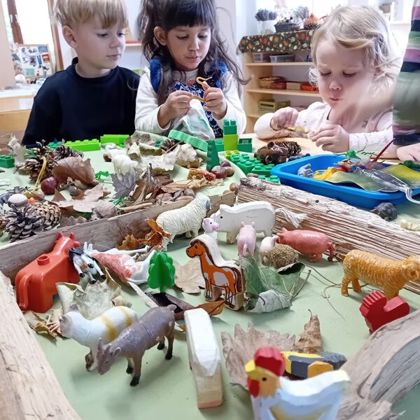 Sok-sok állat, jó barátságban