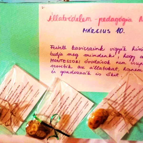 Szeretjük az állatokat