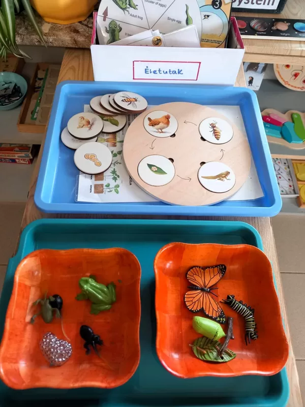 Kozmikus (környezetismereti) játékaink