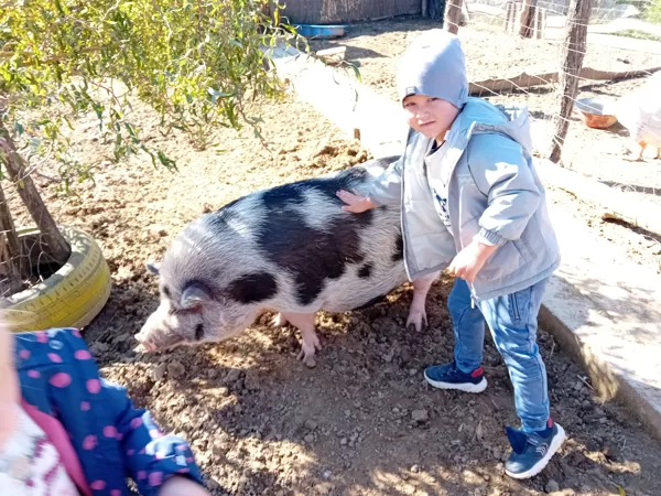 Főni malacunk szeret játszani velünk