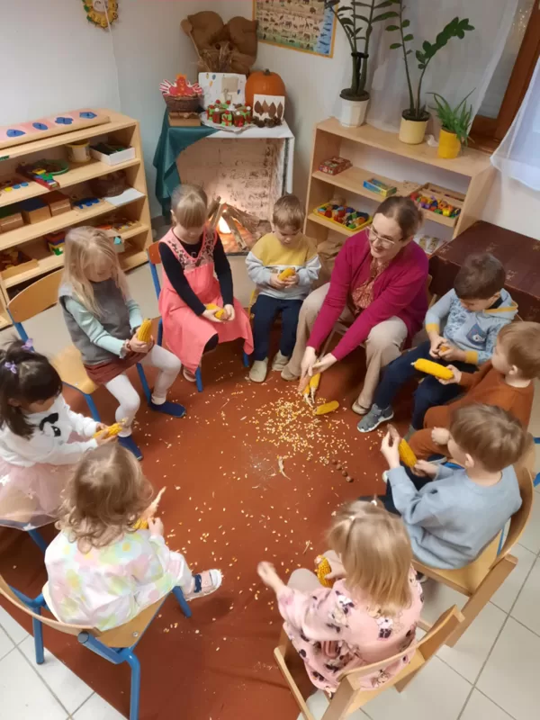 Kukoricát morzsoltunk