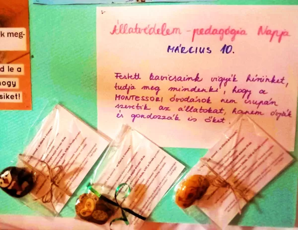 Szeretjük az állatokat